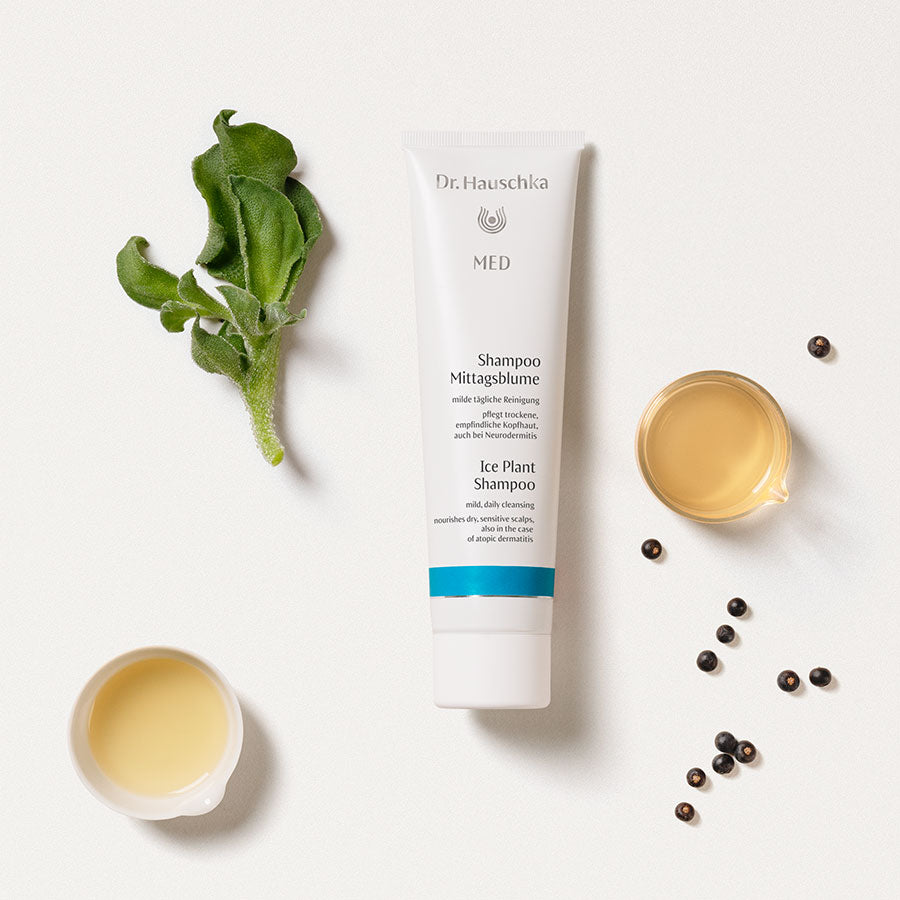 MED Ice Plant Shampoo 150ml