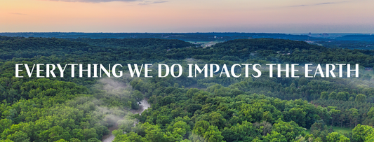 Our Journey Towards a More Sustainable Tomorrow 🌿
