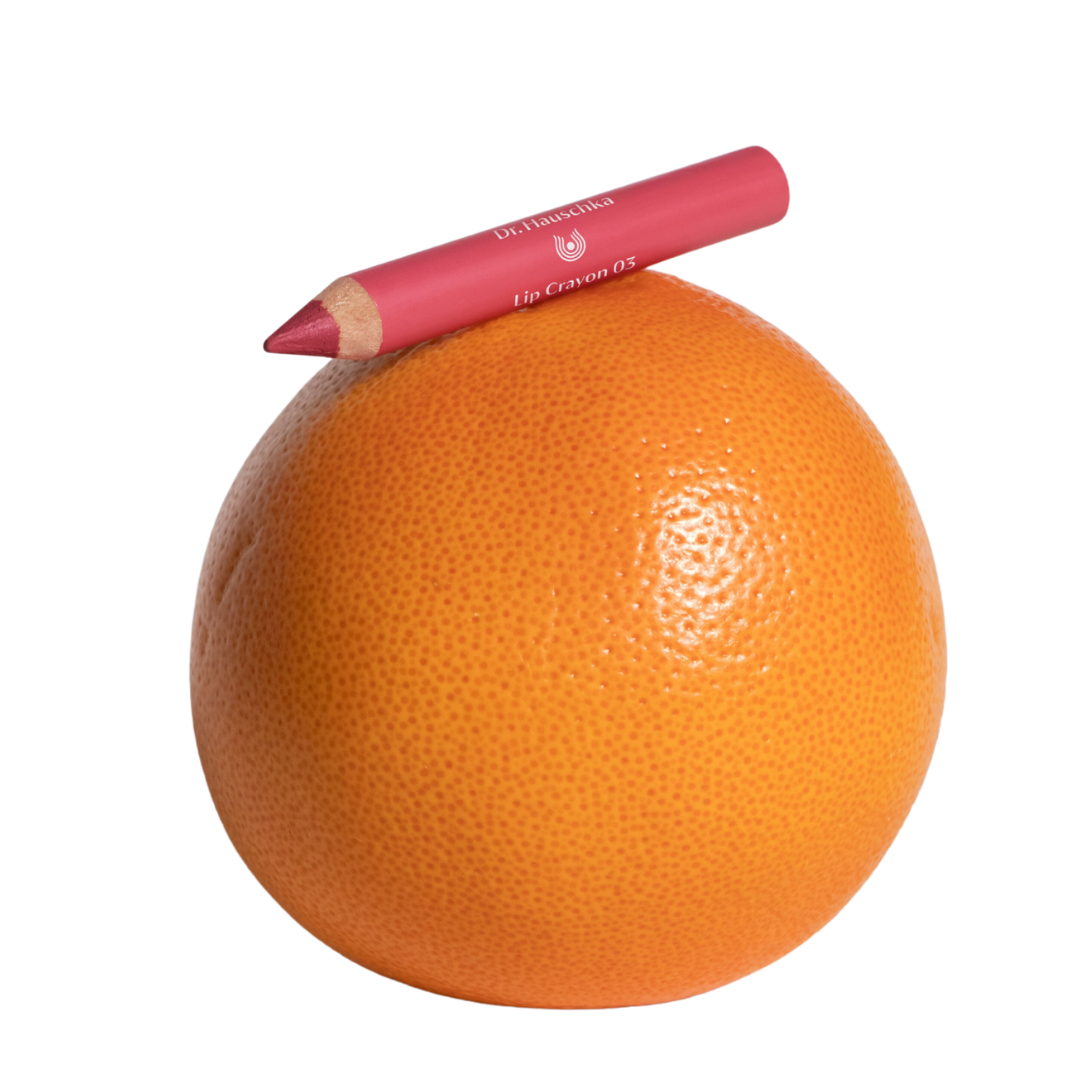 NEW LAUNCH Lip Crayon