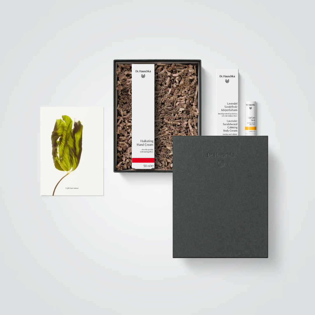 Dr. Hauschka Calm Gift Set – Natural Skincare Gift Set for Lips, Hands & Body
