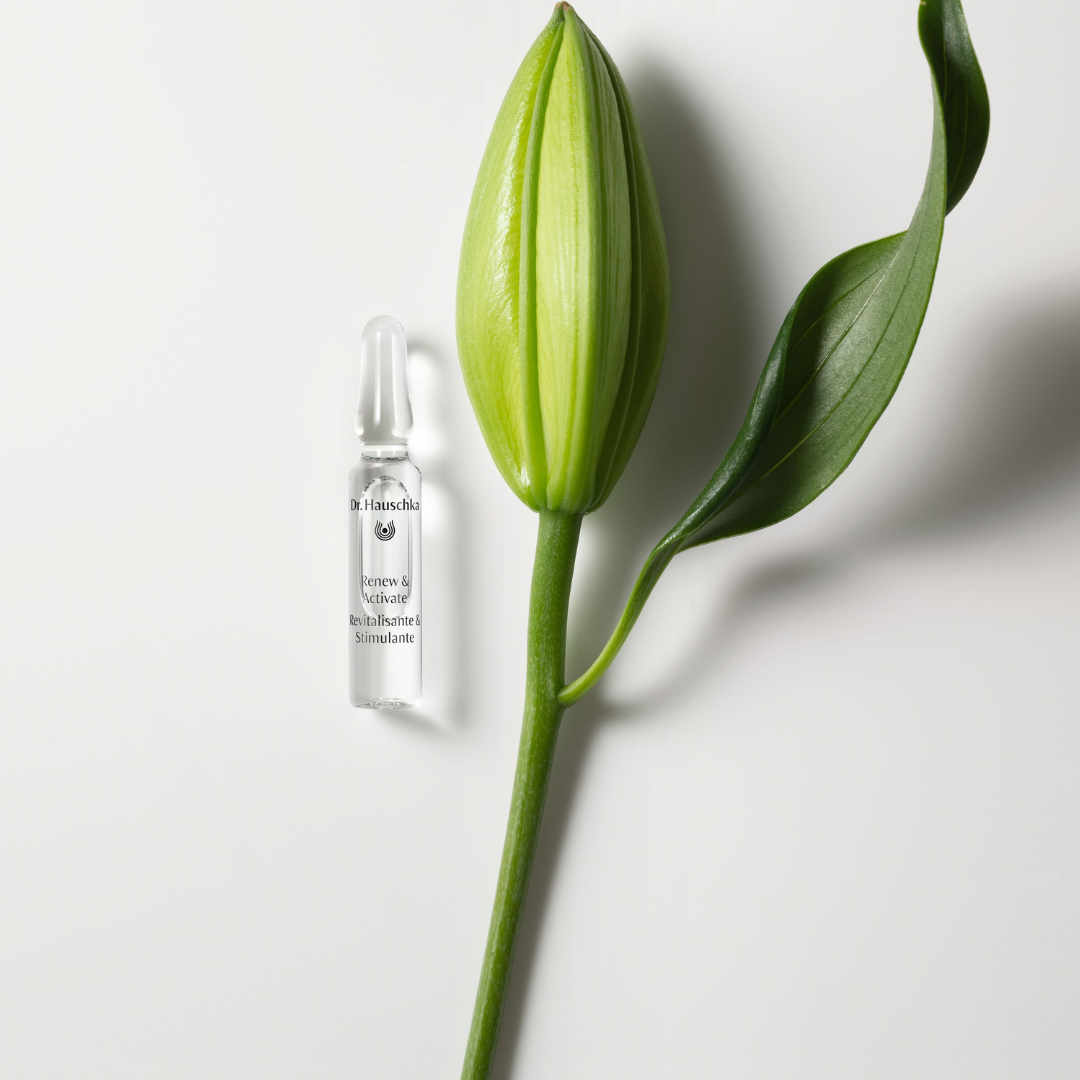Renew & Active Ampoules 28x2ml
