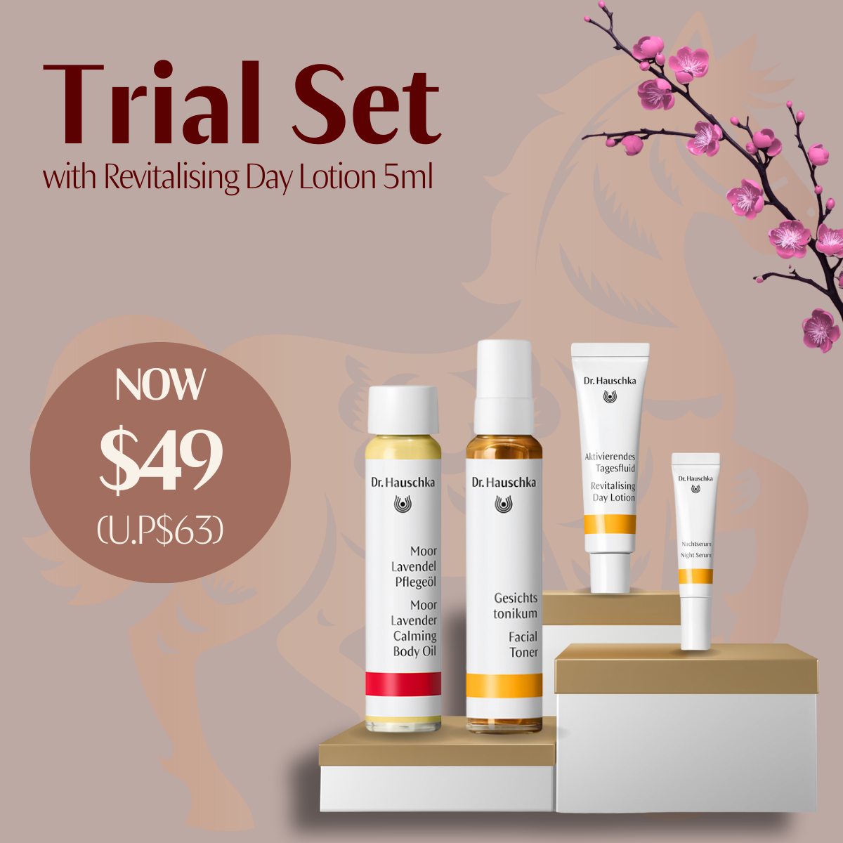 Dr. Hauschka Trial Set